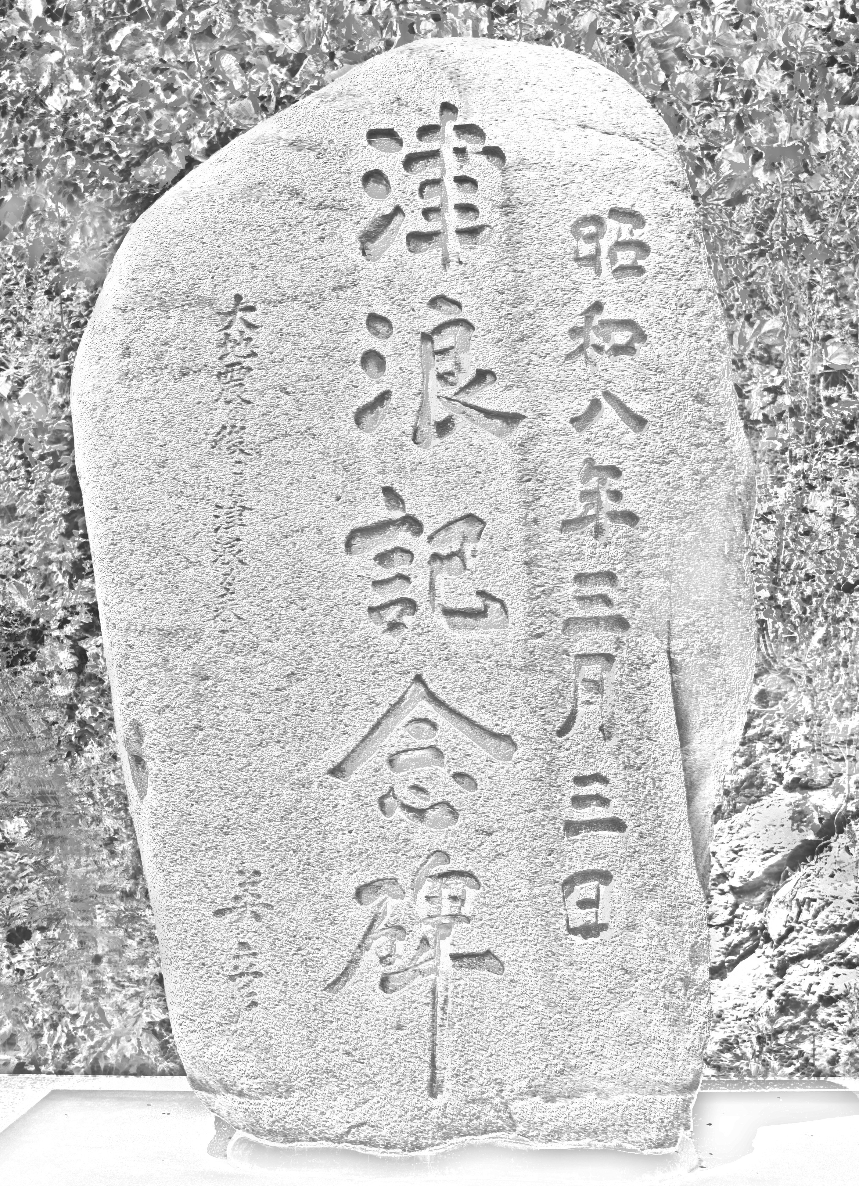 hikari-image-iwate107