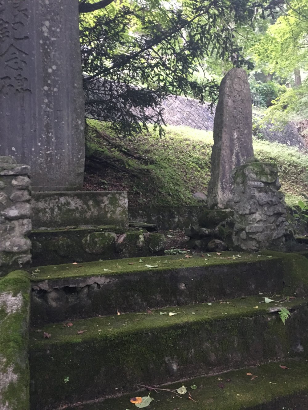 概要画像