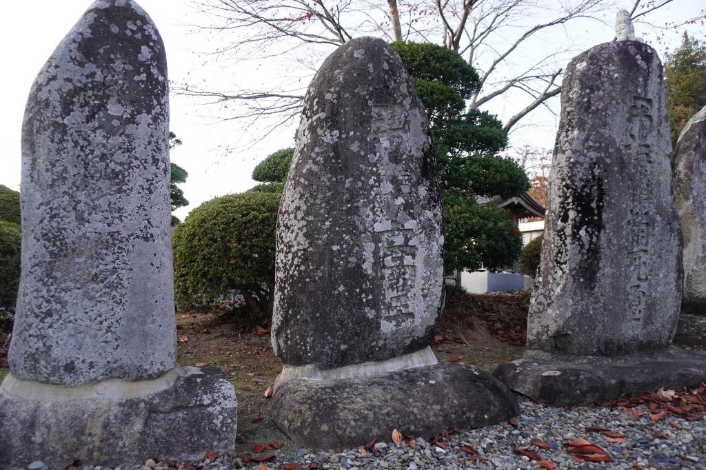 概要画像