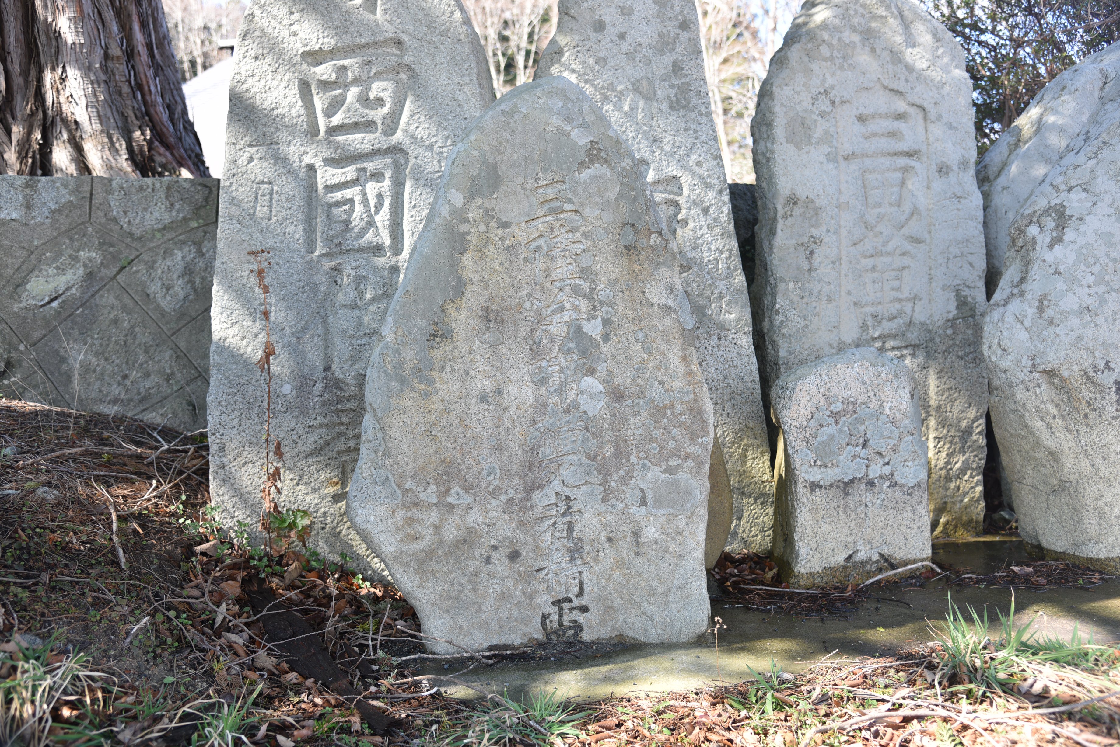 概要画像