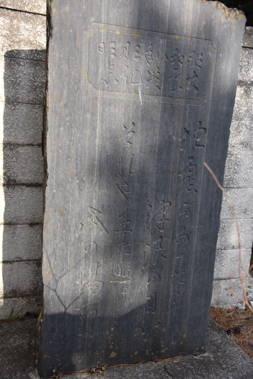 概要画像